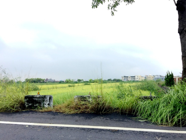 佳里蚶寮段農地