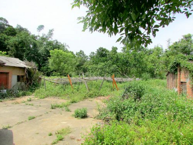 苗栗聯大丙建+旱林溜*--*景觀視野一級棒