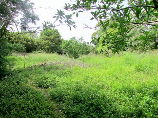 苗栗聯大丙建+旱林溜*--*景觀視野一級棒