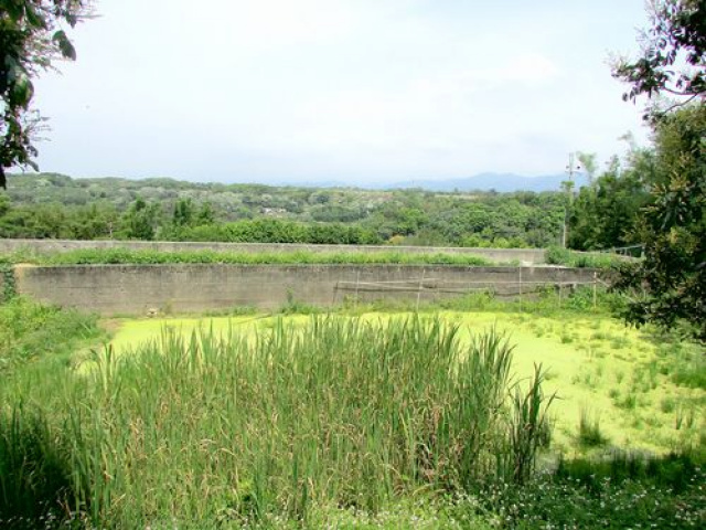 苗栗聯大丙建+旱林溜*--*景觀視野一級棒