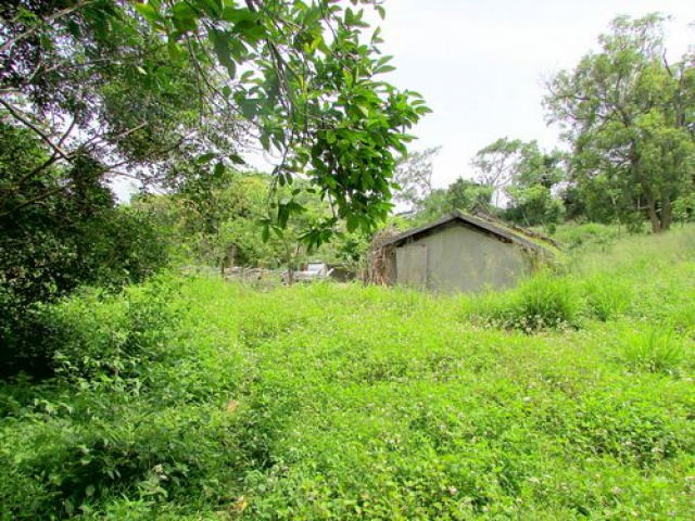 苗栗聯大丙建+旱林溜*--*景觀視野一級棒
