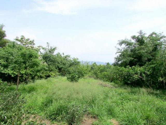 苗栗聯大丙建+旱林溜*--*景觀視野一級棒