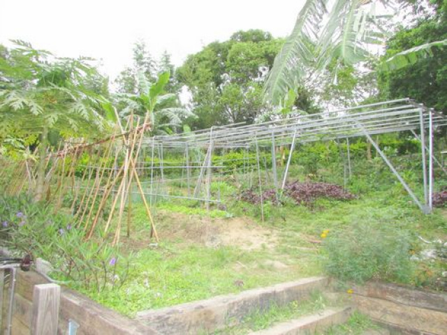 頭份向陽小木屋別墅露營美地