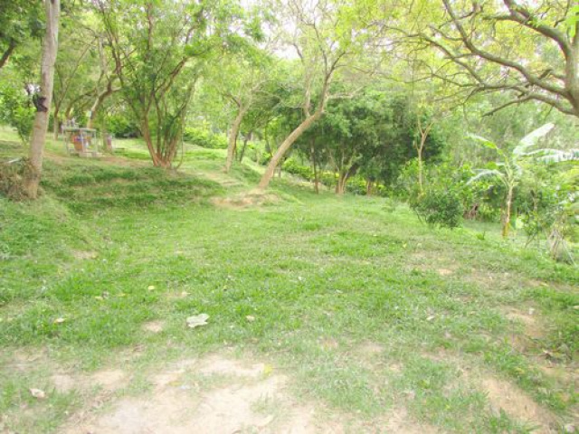 頭份向陽小木屋別墅露營美地