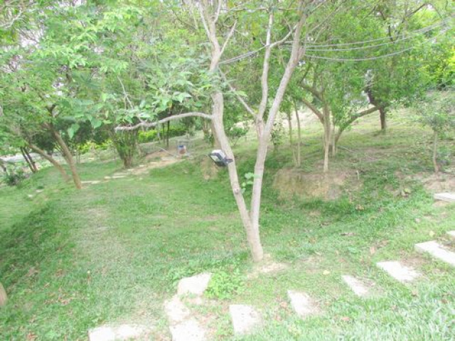 頭份向陽小木屋別墅露營美地