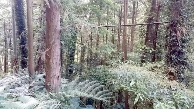 南庄休閒山坡地+丙建3筆