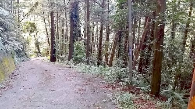 南庄休閒山坡地+丙建3筆