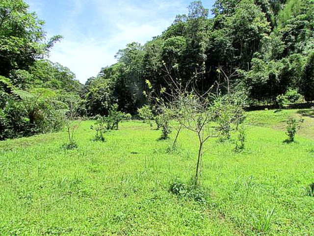 四灣象山休閒美地