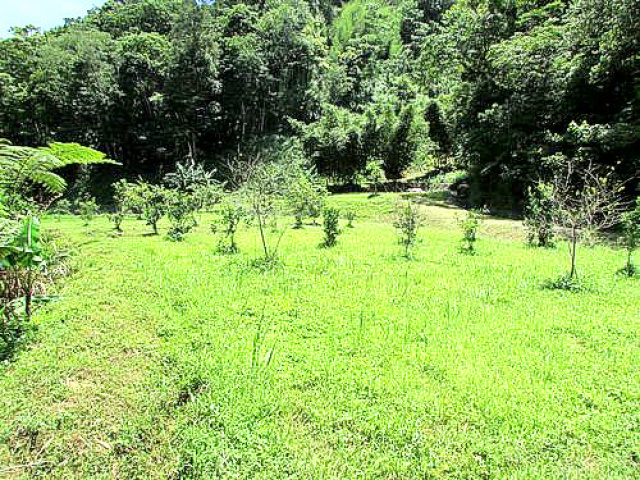 四灣象山休閒美地