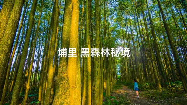南投_埔里鎮 山明水秀 農舍林立 漂亮美農地 適合休閒使用喔~