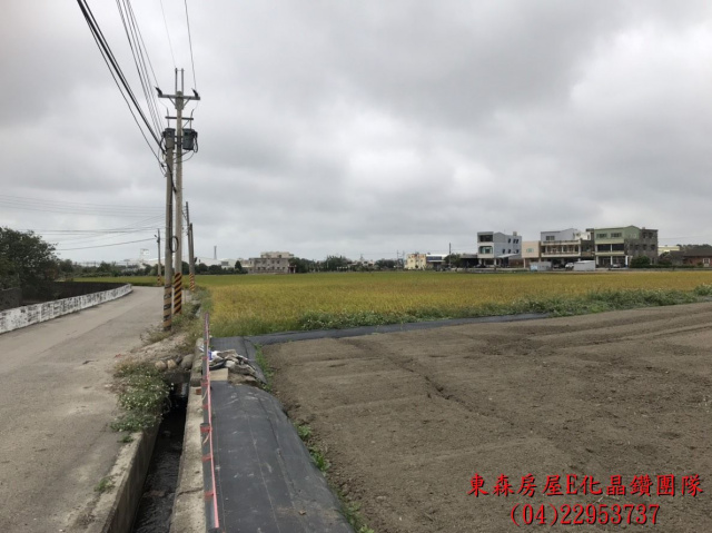 苗栗苑裡田心段農地