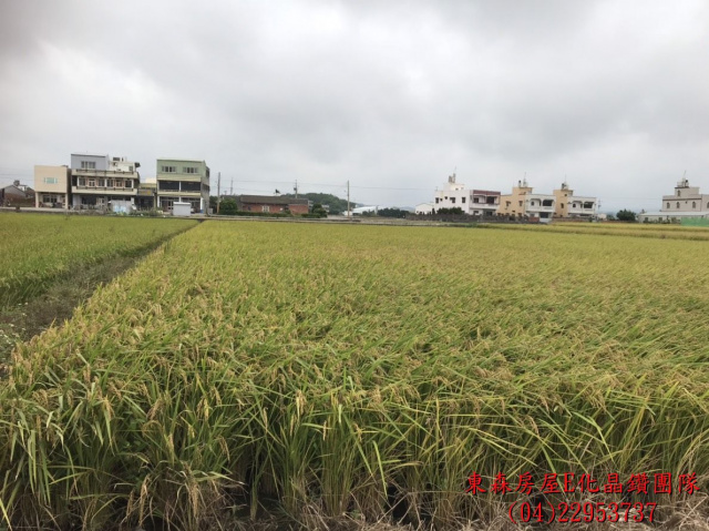 苗栗苑裡田心段農地