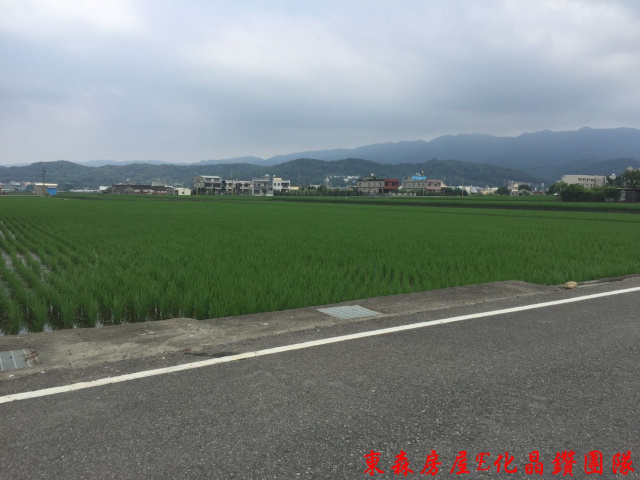 苗栗苑裡鎮鎮安十二路農地  臨8米路，地勢平坦