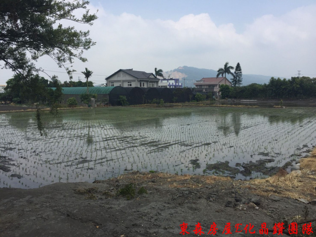 后里三豐路旁正十米路農地