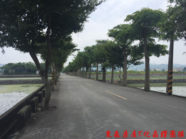 后里三豐路旁正十米路農地
