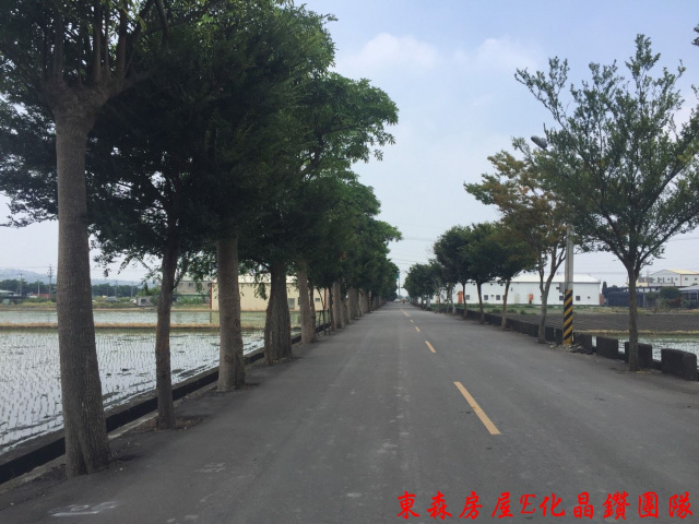 后里三豐路旁正十米路農地