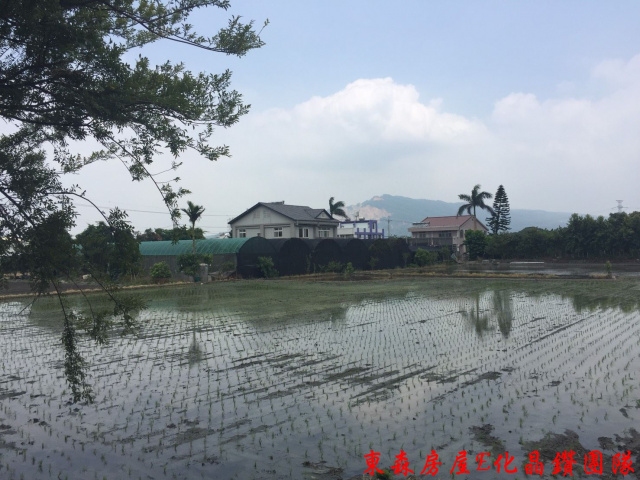 后里三豐路旁正十米路農地