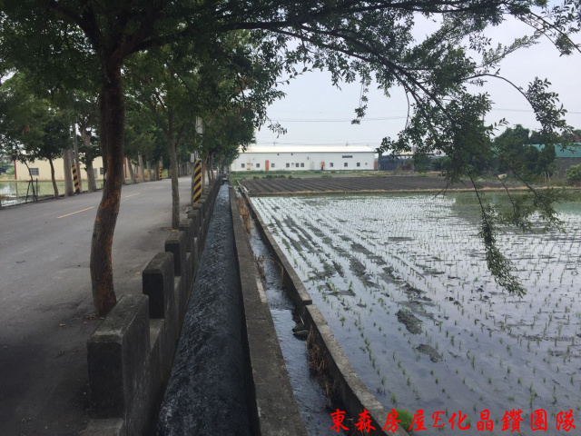 后里三豐路旁正十米路農地