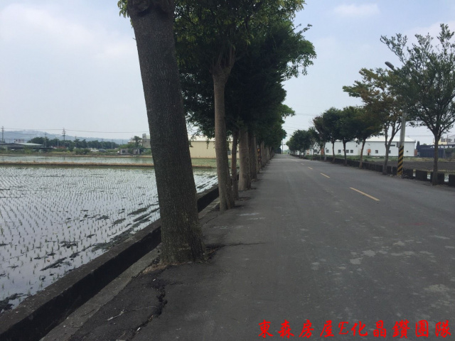 后里三豐路旁正十米路農地