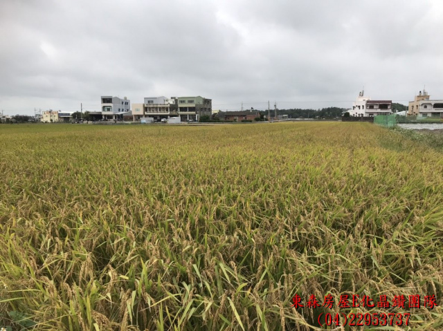 苗栗苑裡田心段農地