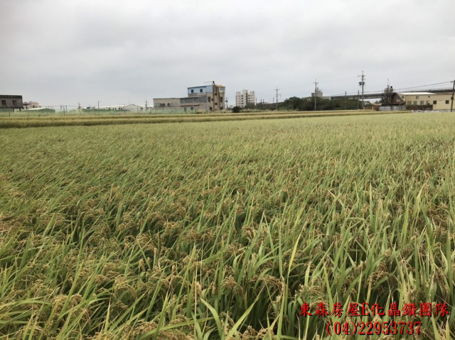 苗栗苑裡田心段農地