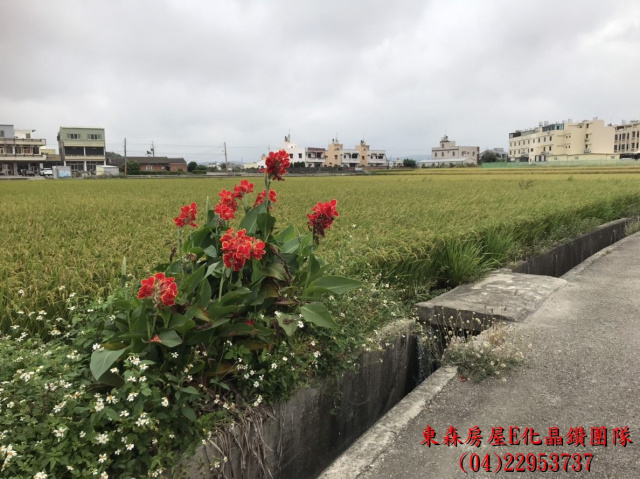 苗栗苑裡田心段農地