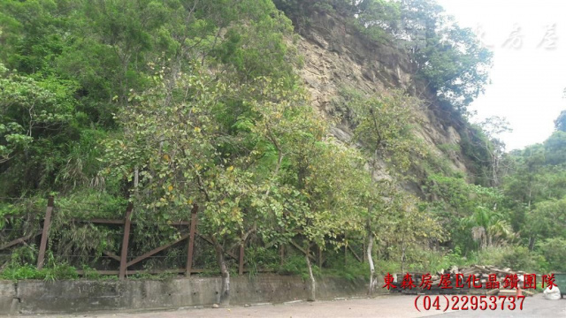 潭子新田登山步道口，前有廣場、停車場，假日市集人潮沸騰，可規劃休閒農場