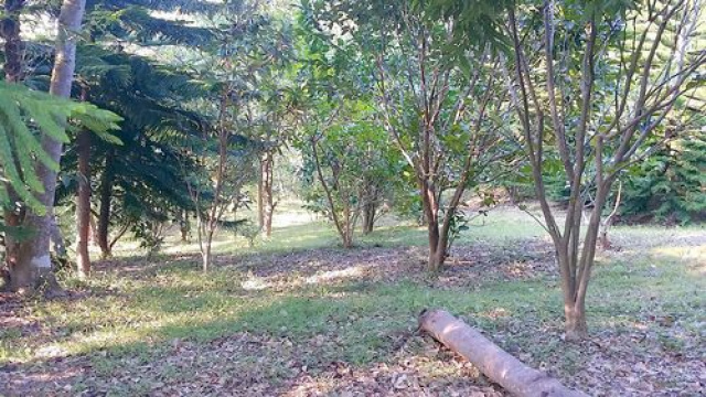 頭份後山優美休閒地*-*苗栗買地、頭份土地