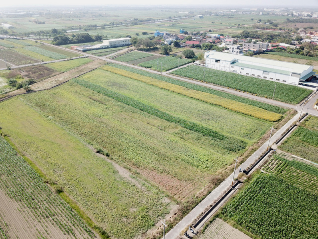 七股昭明國中方正美農地