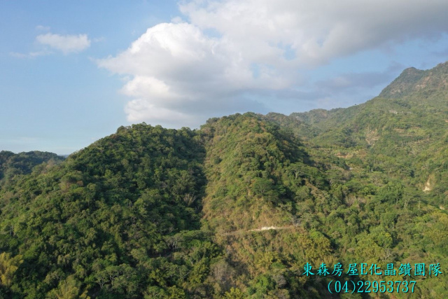 台中太平頭汴坑山田路旁，苗圃保值山坡地