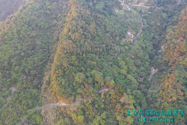 台中太平頭汴坑山田路旁，苗圃保值山坡地