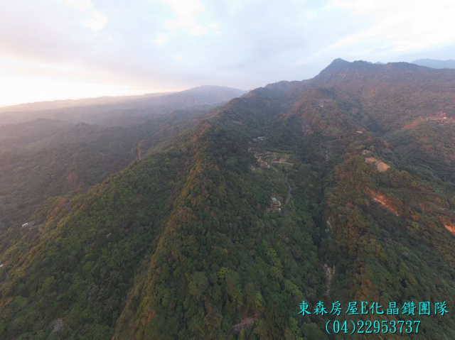 台中太平頭汴坑山田路旁，苗圃保值山坡地