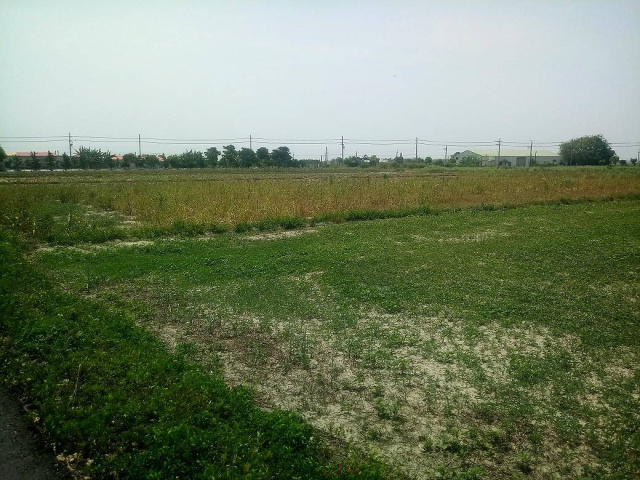 成功路旁都計農地