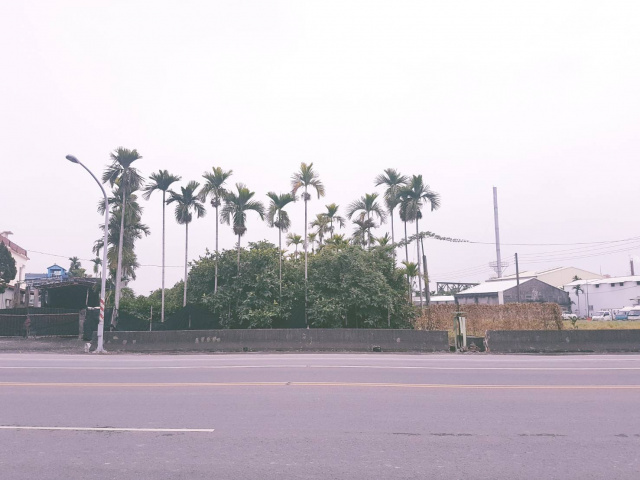 東港20米雙面路農地