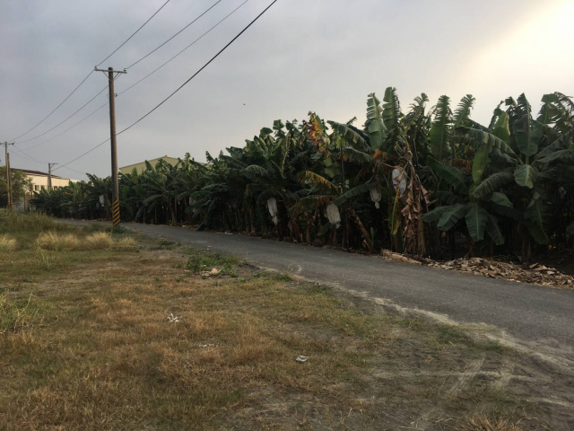 新園180米大面寬農地