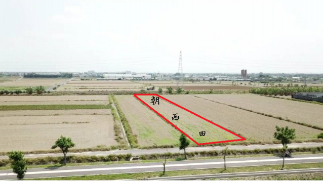 大灣休閒公園旁田地