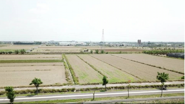 大灣休閒公園旁田地