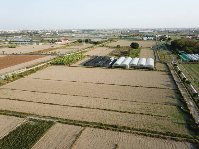 大灣休閒公園旁田地