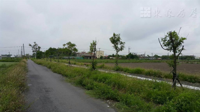 大灣休閒公園旁田地
