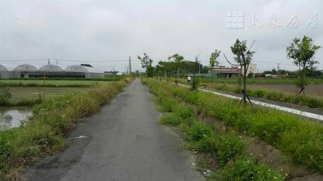 大灣休閒公園旁田地