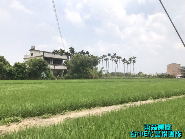 大雅中清路VS科雅路，4米巷農建地