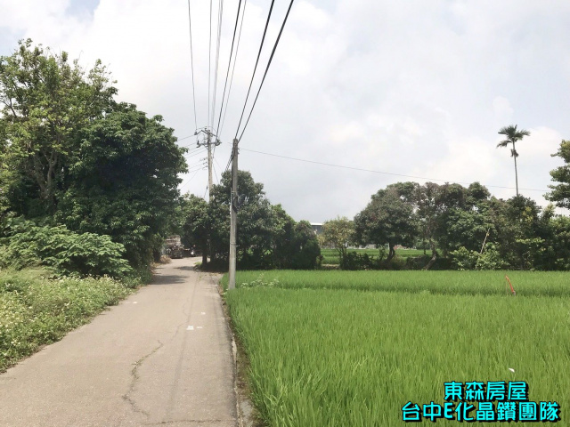 大雅中清路VS科雅路，4米巷農建地