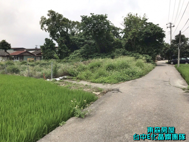 大雅中清路VS科雅路，4米巷農建地