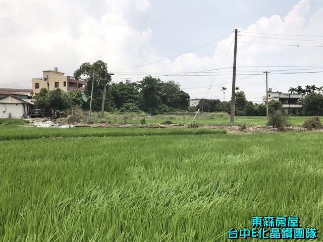 大雅中清路VS科雅路，4米巷農建地