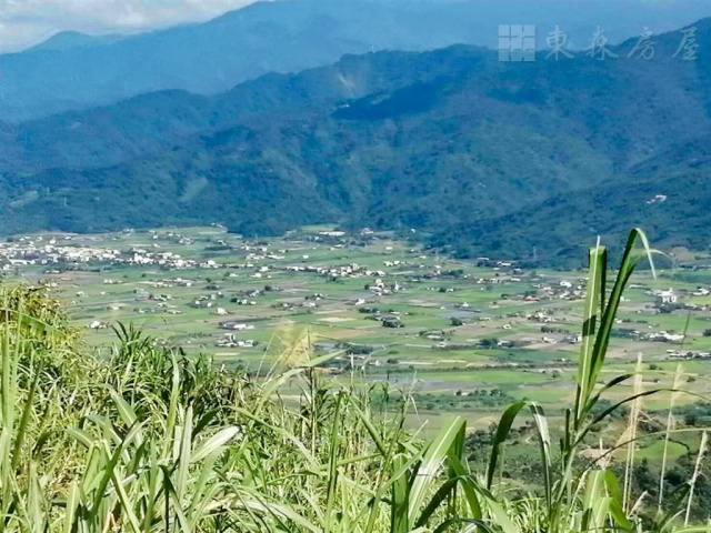 宜蘭農地-大同崙埤元寶地(原保地)