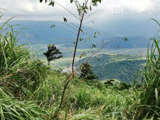 宜蘭農地-大同崙埤元寶地(原保地)