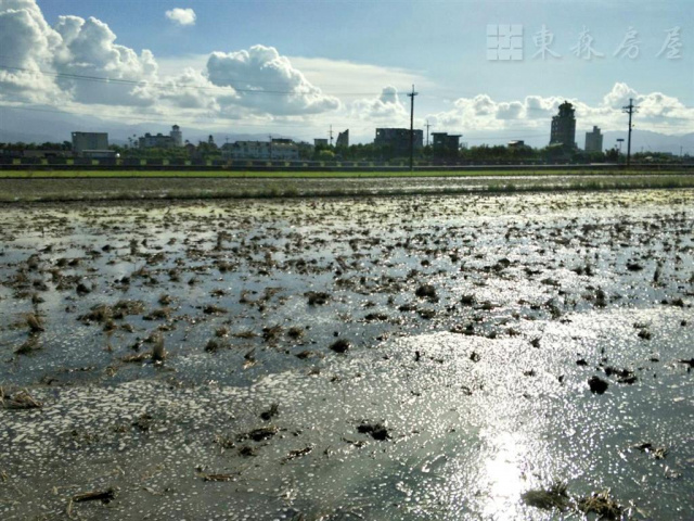 宜蘭農地-五結 香格里拉旁農地 位於