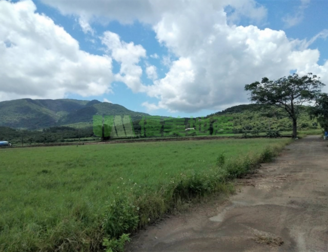 屏東滿州響林前路後水青草美農地