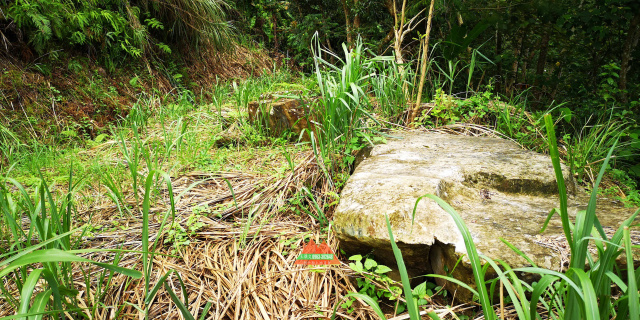 北埔【地闊天長優美林地】每坪3千初