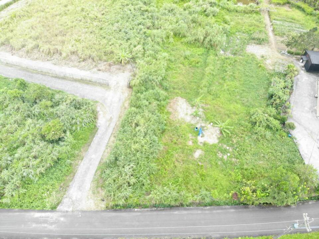 新北雙溪區500坪開心農場
